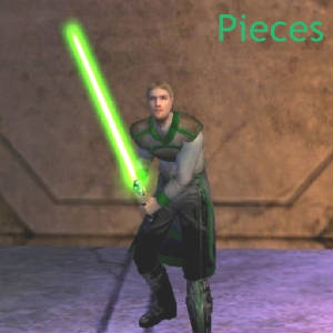 pieces2.jpg